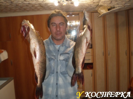 Вот такие щуки