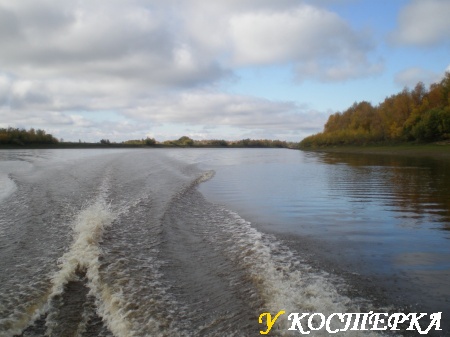 Таёжная протока