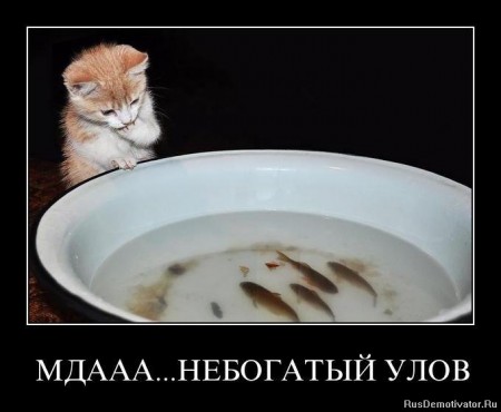 Из архива Портала ЮГОРСКИЕ ВСТРЕЧИ