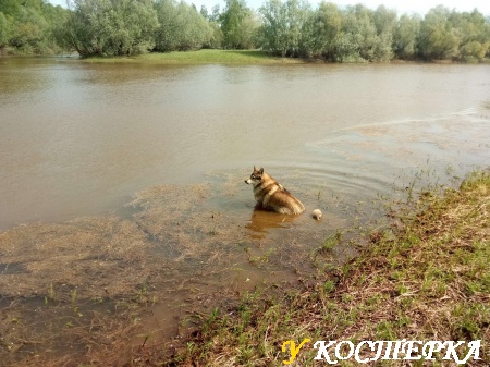 Водные процедуры