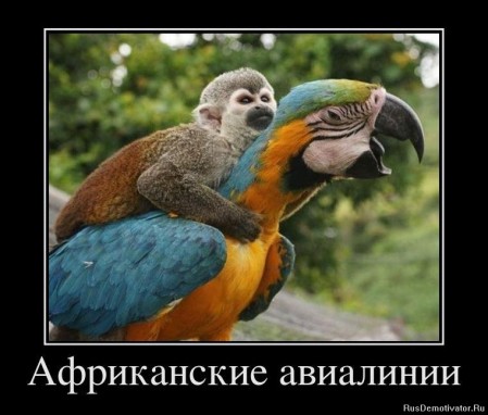 Из архива Портала ЮГОРСКИЕ ВСТРЕЧИ