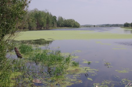 Вид на таёжную реку Сеульская