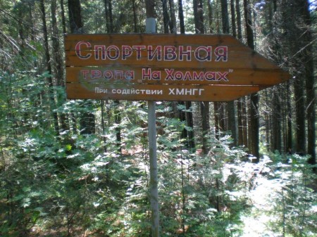 Указатель в лесу