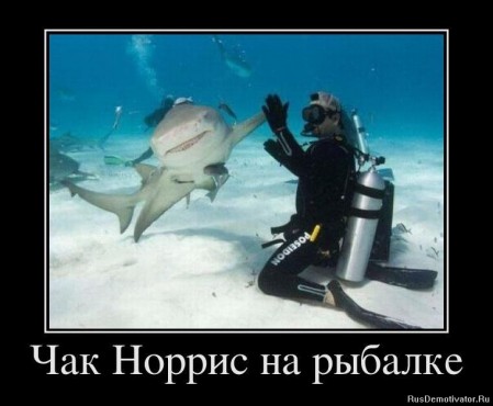 Из архива Портала ЮГОРСКИЕ ВСТРЕЧИ