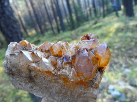 Из архива Портала ЮГОРСКИЕ ВСТРЕЧИ