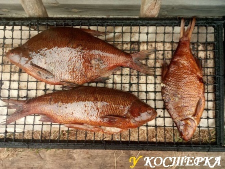 Трофеи горячего копчения.955
