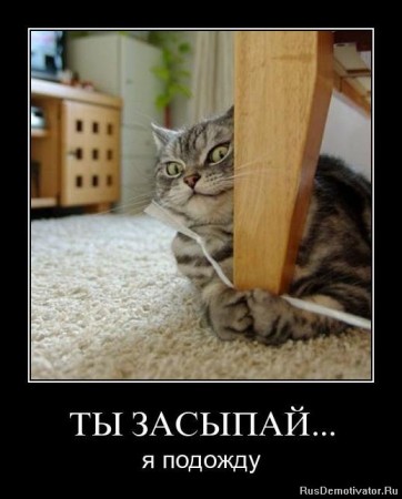 Из архива Портала ЮГОРСКИЕ ВСТРЕЧИ