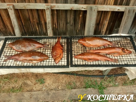 Трофеи горячего копчения.954