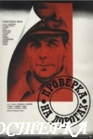 Проверка на дорогах