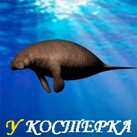 ДЕЛО О СТЕЛЛЕРОВОЙ КОРОВЕ