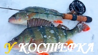 Окунь в глухозимье.