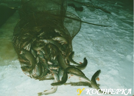 Рыбный промысел зимой. Дальний кордон