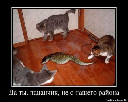 Из архива Портала ЮГОРСКИЕ ВСТРЕЧИ