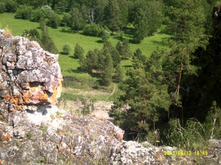 Лес Южного Урала