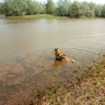 Водные процедуры