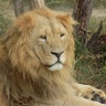 DSCN0529.JPG