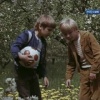 "По секрету всему свету" - Караоке и текст песни