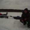 Жизнь окуня в таёжном озере зимой. Подводная видеокамера.