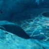 Шокирующая находка на дне Балтийского моря