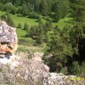 Лес Южного Урала