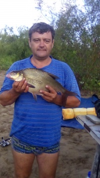 Александр Бринцевич