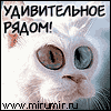 Вячеслав Куклин