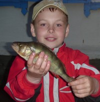 NIK Slesar