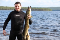Александр Дементьев