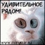 Вячеслав Куклин