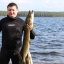 Александр Дементьев