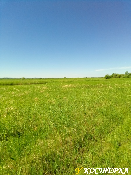 Родная природа