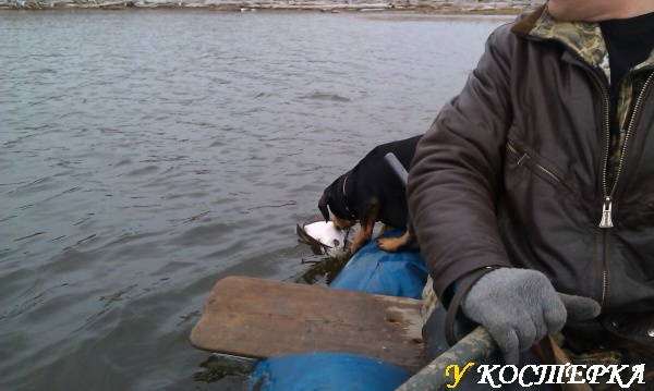 IMAG0155.jpg