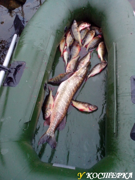 IMG_20140908_085033.jpg