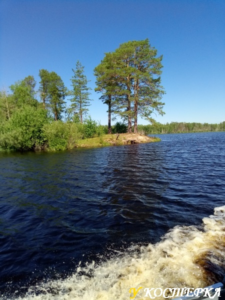 IMG_20180716_132612.jpg