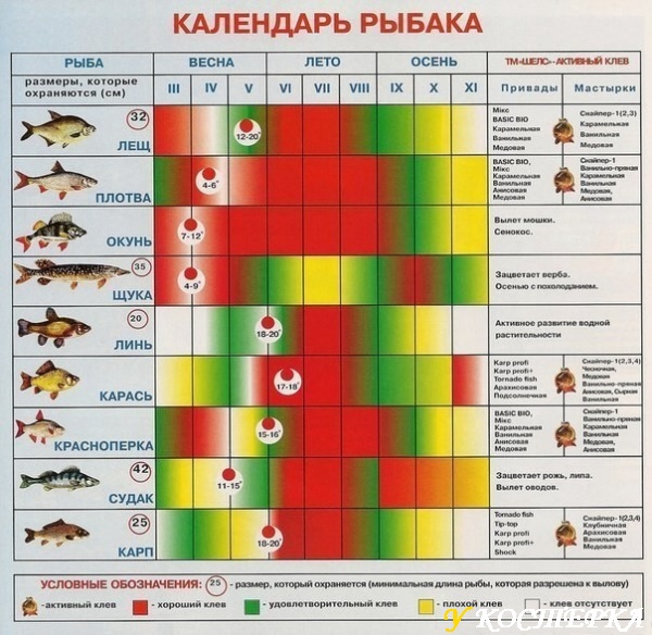 image (13).jpg